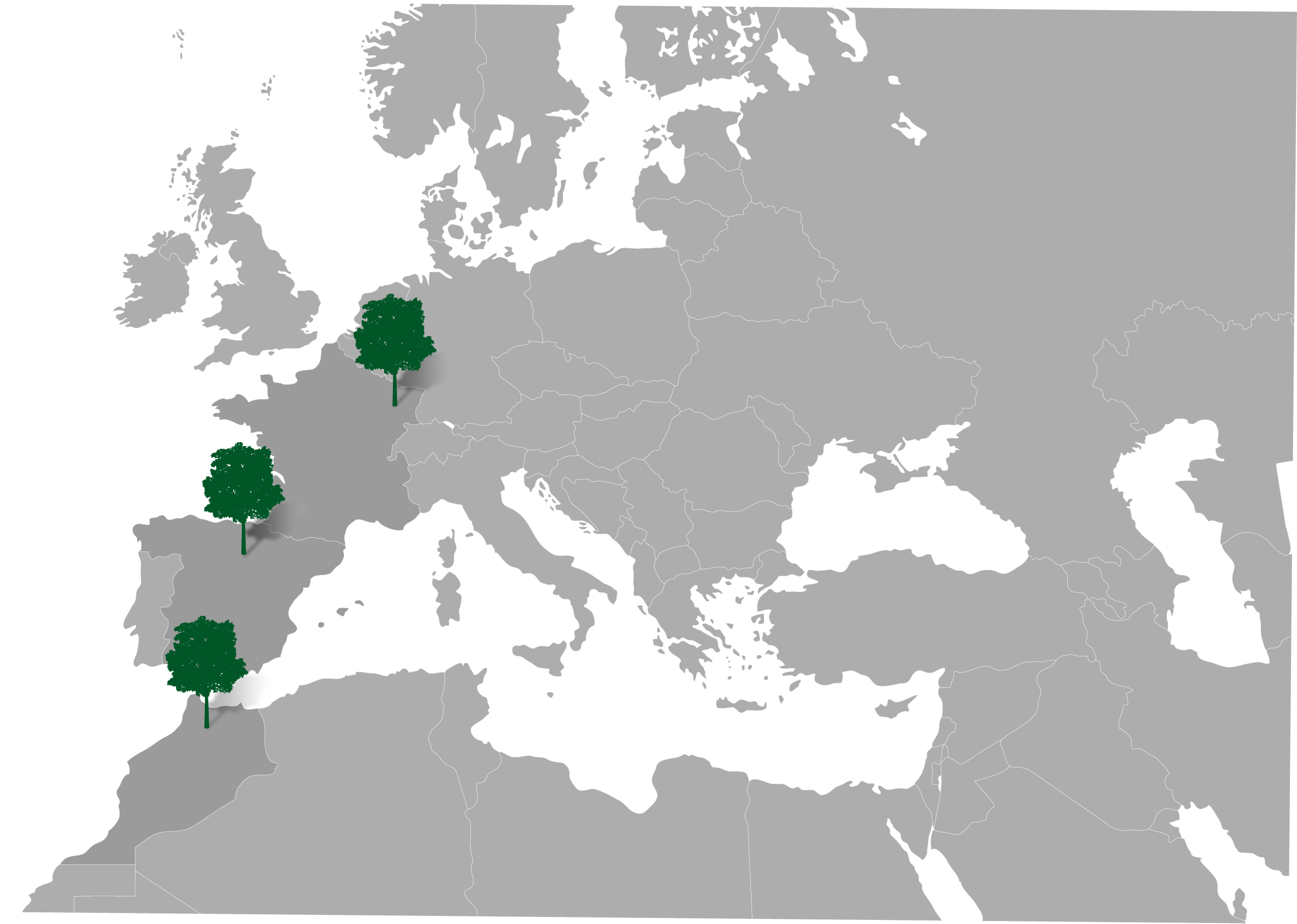 A gray map of Europe and Northern Africa with green trees on Spain, France and Morocco