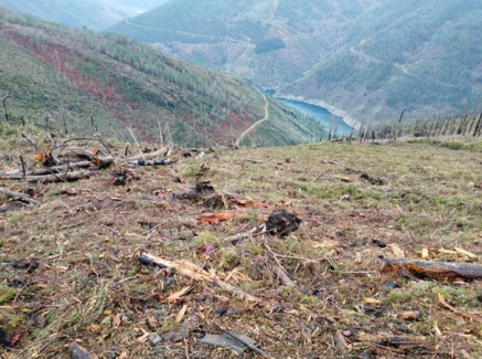 Image of neglected farmlands on mountainside with river