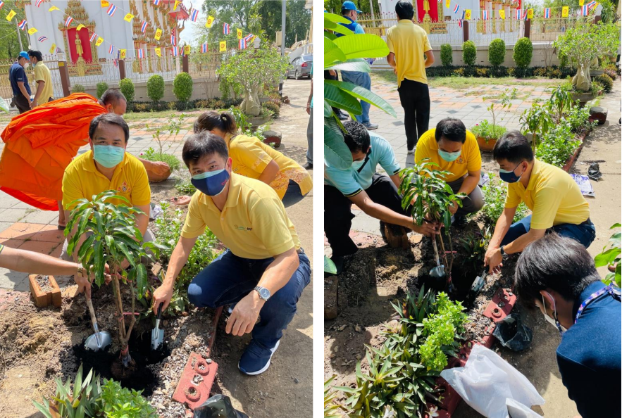Several people happily planting tree saplings outdoors.
