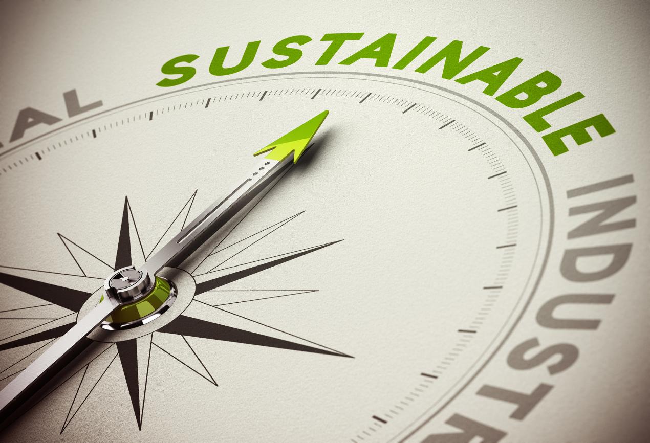 Image of compass arrow pointing to the word sustainable.