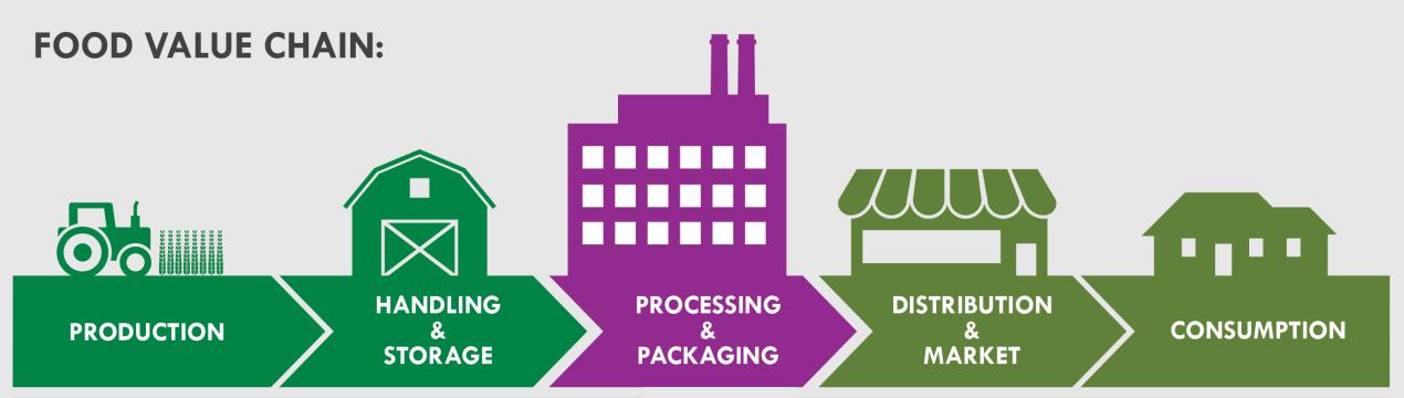 Food value chain: processing and packaging